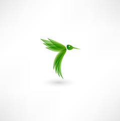 Image showing Hummingbird icon