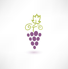 Image showing Wine Grape