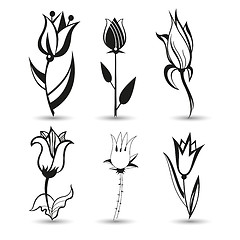 Image showing flower icon set