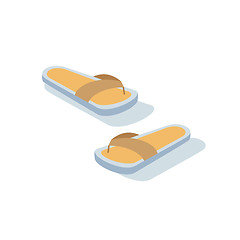 Image showing beach slippers