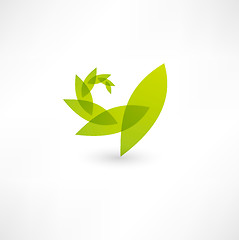 Image showing Leaf nature icon