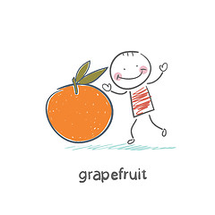 Image showing Grapefruit