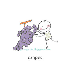 Image showing Grapes and people