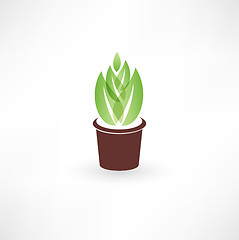 Image showing Flower in a pot icon