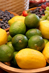 Image showing Citrus Fruit