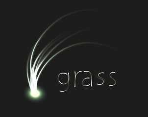 Image showing grass