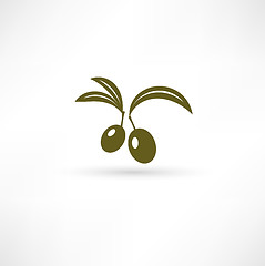 Image showing Olive icon