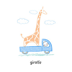 Image showing giraffe