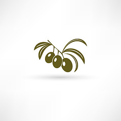 Image showing Olive icon