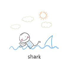 Image showing shark