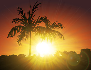 Image showing Palms on Sunset