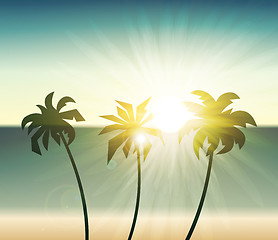 Image showing Palm trees silhouette at sunset