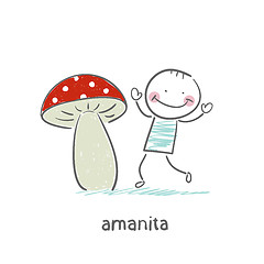 Image showing Amanita and man