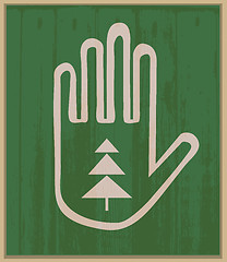 Image showing Hand and spruce