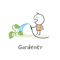 Image showing Gardener watering plants