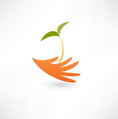 Image showing Hands and plant icon