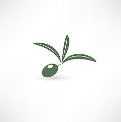 Image showing Olive icon