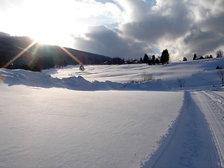 Image showing Snow covered landscape