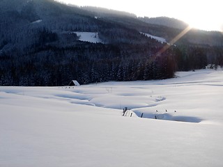 Image showing Snow covered landscape