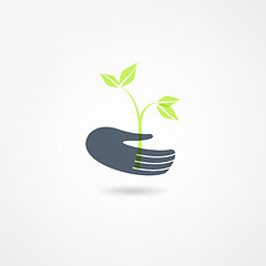 Image showing plants icon