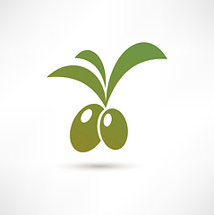 Image showing Olive icon