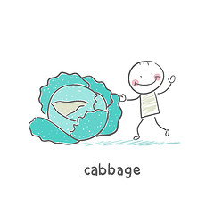 Image showing Cabbage and people