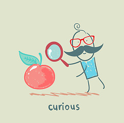 Image showing curious