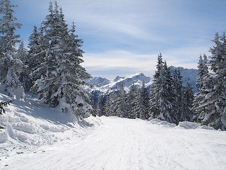 Image showing Snowcovered landscape