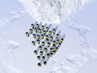 Image showing Penguins 3