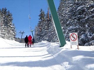 Image showing Skiers on landscape