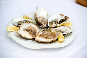 Image showing Oysters and lemon