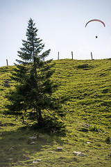 Image showing Paraglider flying over the Bavarian Alps