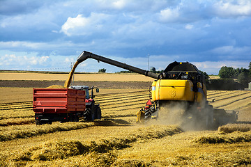 Image showing harvest time