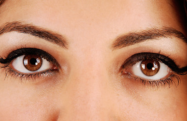 Image showing Gorgeous eyes.