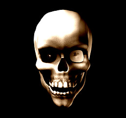 Image showing Skull