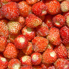 Image showing Strawberries