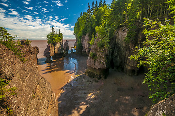 Image showing Hopewell Rocks