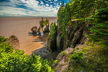 Image showing Hopewell Rocks