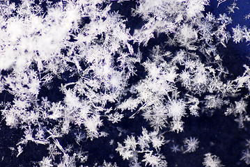 Image showing Snowflakes background