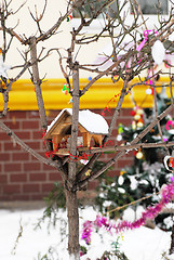 Image showing Birds house on tree