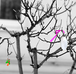 Image showing Christmas decoration on branch