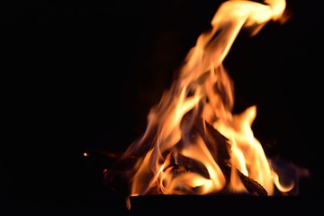 Image showing fire flame background