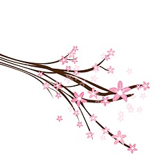 Image showing Blossom cherry - Greeting Card