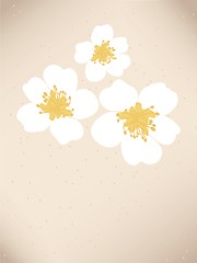 Image showing Blossom cherry - Greeting Card