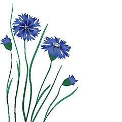 Image showing Beautiful blue cornflower isolated on white background