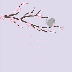 Image showing Blossom cherry - Greeting Card