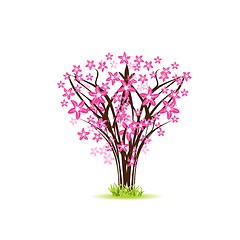 Image showing Blossom cherry - Greeting Card