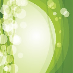 Image showing Green ecological banner with green leaves