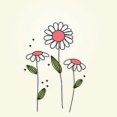 Image showing beautiful flower daisy on background