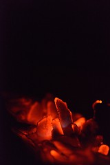 Image showing fire flame background